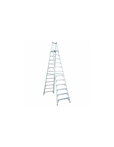 Large Step Ladder