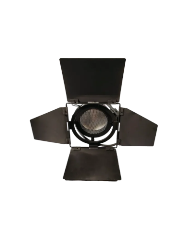 FilmGear Cinelite 800W